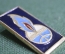 Знак, значок "Выставка Итергаз - 70". Легкий металл, 1970 год, СССР.