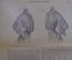 Приложение к журналу «Живописное обозрение Моды». Царская Россия 1904 год.