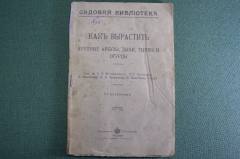 Справочник "Как вырастить крупные арбузы, дыни, тыквы и огурцы". Издательство Сойкина, 1913 г. #K4