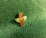 Значок "Лыжи с крыльями, снежинка, зимние виды спорта, СССР" легкий 