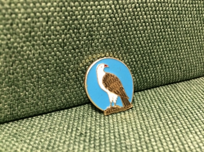 Значок "Орел" природа  Птицы Легкий #Z2