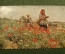 Открытка "На маковом поле. Уборка урожая". Серия 623. Краков, Польша. 1934 год.