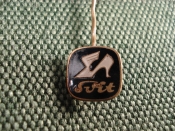 Значок франчик   Значок франчик