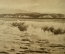 Открытка "Пицунда. Море". Фото Альперта и Петрусова. 1955 год. Чистая. #O1