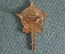 Знак значок "Фестиваль 1957 года Москва Факел". СССР.