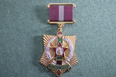 Знак нагрудный "За службу в Сковородинском пограничном отряде". Пограничник. Тяжелый металл, заколка