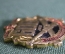 Знак, значок "600 лет отечественной артиллерии, 1382 - 1982". Легкий металл. #1