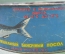 Банка жестяная огромная ПУСТАЯ от "Сельдь жирная тихоокеанская". Дальрыба. СССР. 