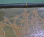Шкатулка коробка габаритная. Натуральная кожа. Тиснение. Прибалтика. СССР.