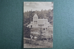 Открытка старинная "Вилла Ядвиги, Willa Jadwiga.". Ойцув, Ojcow. Krakowski, Польша #O4