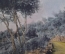 Открытка старинная "Дорога в Кап-Ферра, Ницца". Цветн. Cap Ferrat, Route de Cap, Nice. Франция. #O3
