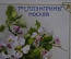 Рекламный вкладыш, старинная карточка "Букет". Реклама. Т-во Лоэнгрин Москва. 