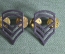 Лычки, знак различия "Техник сержант США". Technical Sergeant, USA. 