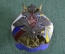 Знак значок "60 лет Секретариат Главнокомандующего Главкома ВВС России". Авиация. Тяж. мет. Эмаль.
