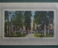 Открытка старинная "Прогулка в парке". Friedrichshofscher Park. Латвия. #O1