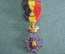 Медаль, крест "Особый знак отличия". Бельгия.