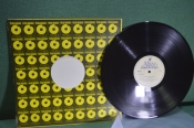 Пластинка виниловая  Пластинка виниловая