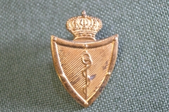 Кокарда полковая знак военно-медицинского полка Королевских ВС. На берет. Медицина. Бельгия.