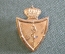 Кокарда полковая знак военно-медицинского полка Королевских ВС. На берет. Медицина. Бельгия.