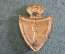 Кокарда полковая знак военно-медицинского полка Королевских ВС. На берет. Медицина. Бельгия.