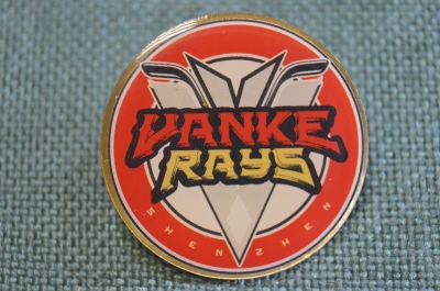 Знак значок "Vanke Rays". Хоккей. Шеньжень. Китай.