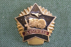 Знак, значок "Дембель". 