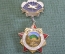 Знак, значок "Воздушно-десантные войска СНГ". ВДВ. Air Borne. 
