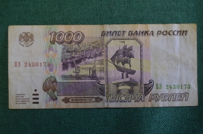 Бона, банкнота 1000 Одна тысяча рублей. Банк России, 1995 год. ВЭ 2430173
