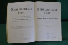 Книга "Жизнь животных Брэма". Третий том. Пресмыкающиеся, земноводные, рыбы, насекомые. 1903 год.