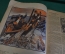 Журнал "Крокодил". Номер 3, январь 1926 год. На правильному пути. Юмор, сатира, карикатура.