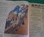 Журнал "Крокодил". Номер 5, февраль 1926 год. Две кражи. Юмор, сатира, карикатура.