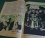 Журнал "Крокодил". Номер 20, май 1926 год. Канцелярская паутина. Юмор, сатира, карикатура.