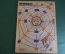 Журнал "Крокодил". Номер 20, май 1926 год. Канцелярская паутина. Юмор, сатира, карикатура.