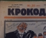 Журнал "Крокодил". Номер 22, июнь 1926 год. Гинденбург. Германия потерпит. Юмор, сатира, карикатура.