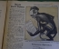 Журнал "Крокодил". Номер 19, август 1941 год. Как это делается. Юмор, сатира, карикатура.