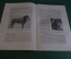 Журнал "В мастерской природы" Номер 3, 1928 г. Радиомузыка, мозг и лицо, рыбье гнездо, "Куница".