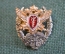 Знак, значок "Академия, Налоговая Полиция". Цанга. Дефект.