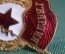 Знак, значок "Гвардия". Тяжелый металл, эмали. Винт. СССР. #2