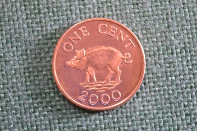 Монета 1 цент 2000 год. One cent. Кабан. Елизавета II, Бермуды, Бермудские острова.