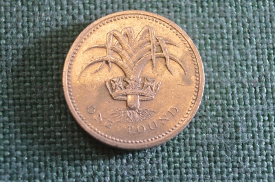 Монета 1 фунт 1990 год. One pound. Уэлльс, лук-порей. Елизавета II, Великобритания.
