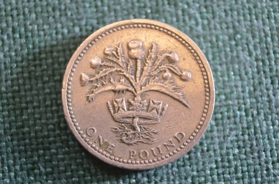 Монета 1 фунт 1984 год. One pound. Чертополох. Елизавета II, Великобритания.