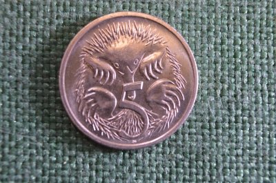 Монета 5 центов 1999 год. Ехидна. Елизавета II, Австралия. 