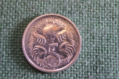 Монета 5 центов 1995 год. Ехидна. Елизавета II, Австралия. 