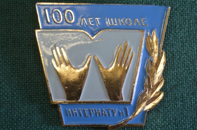 Знак, значок "100 лет Школе Интернату N 1". Обучение и реабилитация слепых. 1982 год. #Z3