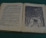 Книга "Школа в лесу". Е. Смирнова. Детиздат ЦК ВЛКСМ, 1941 год. #K16