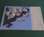 Книга, брошюра "Похвала скромности". Михаил Кольцов. Библиотека Кроколила, номер 12, 1989 год. #K18