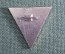Знак, значок "Интер ССО Селигер 70". 