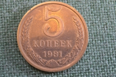 Монета 5 копеек 1981 года. Погодовка СССР.