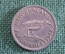 Монета 6 пенсов 1952 года. Sixpence. Птица Гуйя, Новозеландский скворец. New Zealand. Новая Зеландия