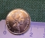 Монета 5 центов 2005 года. Five Cents. Елизавета II. Solomon Islands. Соломоновы Острова.